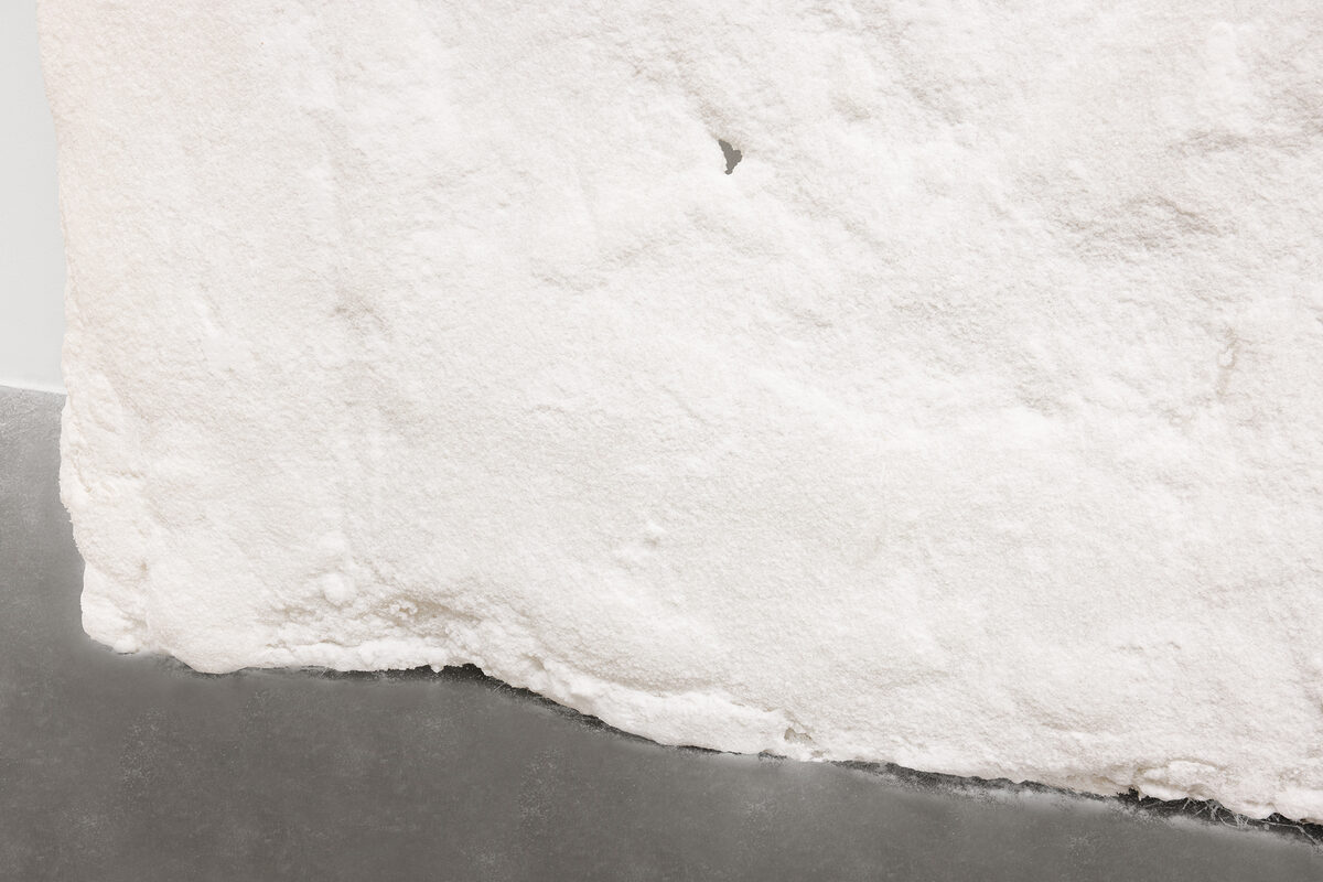 Samuel Alves de Jesus, *[A Path Paved With the Shards of your Vertebrae and Salty Tears](/artworks/a6f69491-9bff-4bb2-b0c6-974b48a4372d)* (2026)
