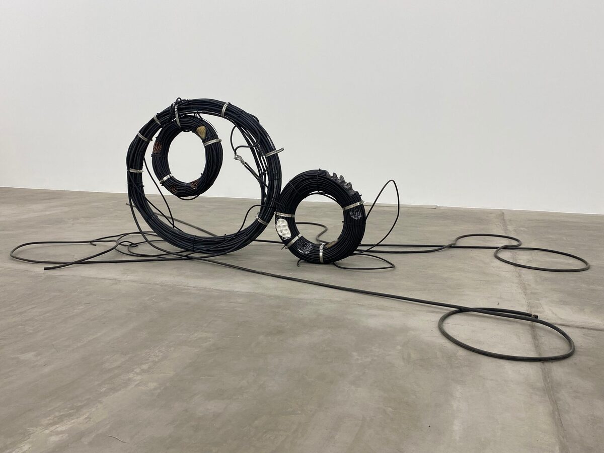 Rodrigo Red Sandoval, *[Fossil visions](\artworks\13d8b89d-34b7-44d3-d0df-08def8c534a9)* (2025)