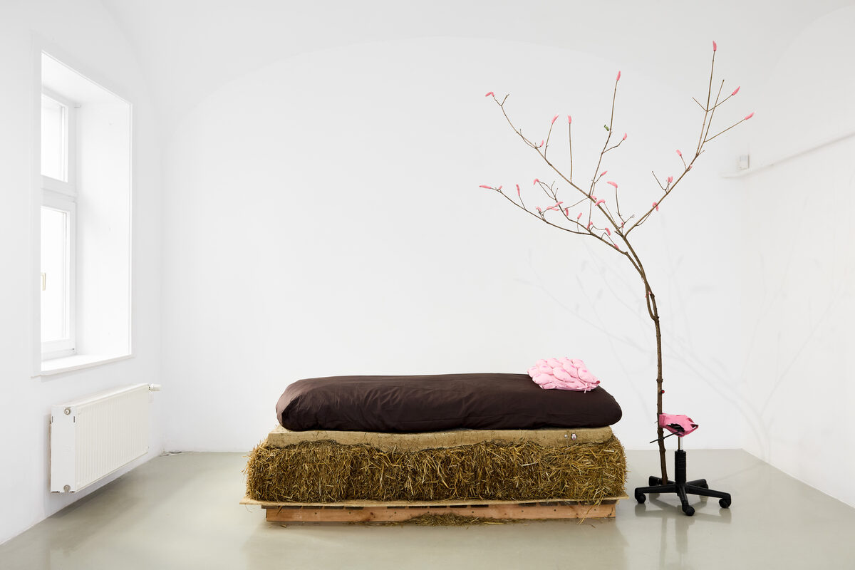 Réka Lőrincz, *[Healing Dreams - Body Lotion](\artworks\a0bd8593-6e2e-4504-a4ae-3995e8938dc0)* (2024)
