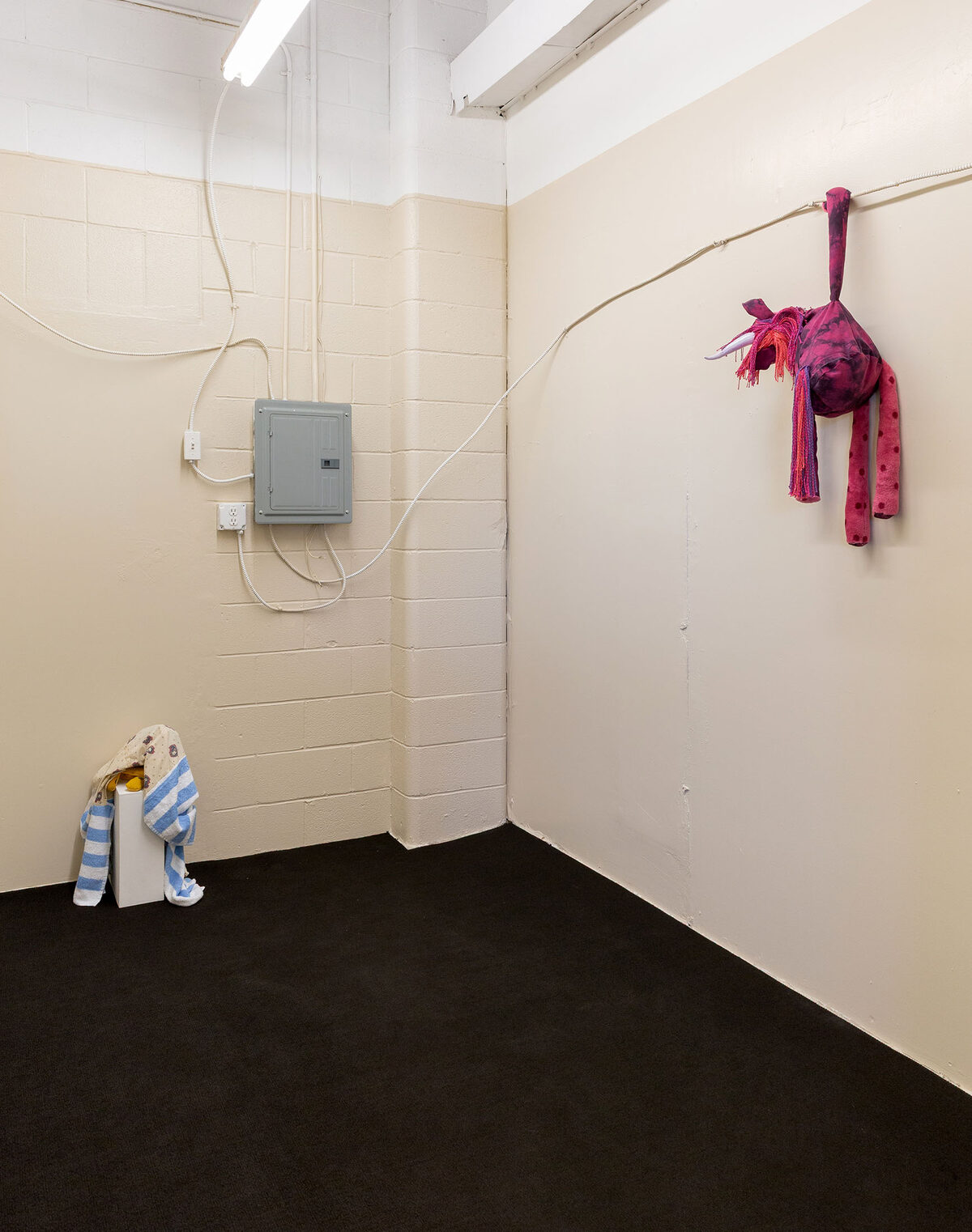 Installation view of *[Sun Belt Gothic](/exhibitions/2b24f8f7-fbaf-491f-853a-044710fd0e31)*, [Gene & Fred](/institutions/161224ff-13ea-4b89-66cd-08de7acbddb5), Santa Fe, May 16, 2026–August 8, 2026
