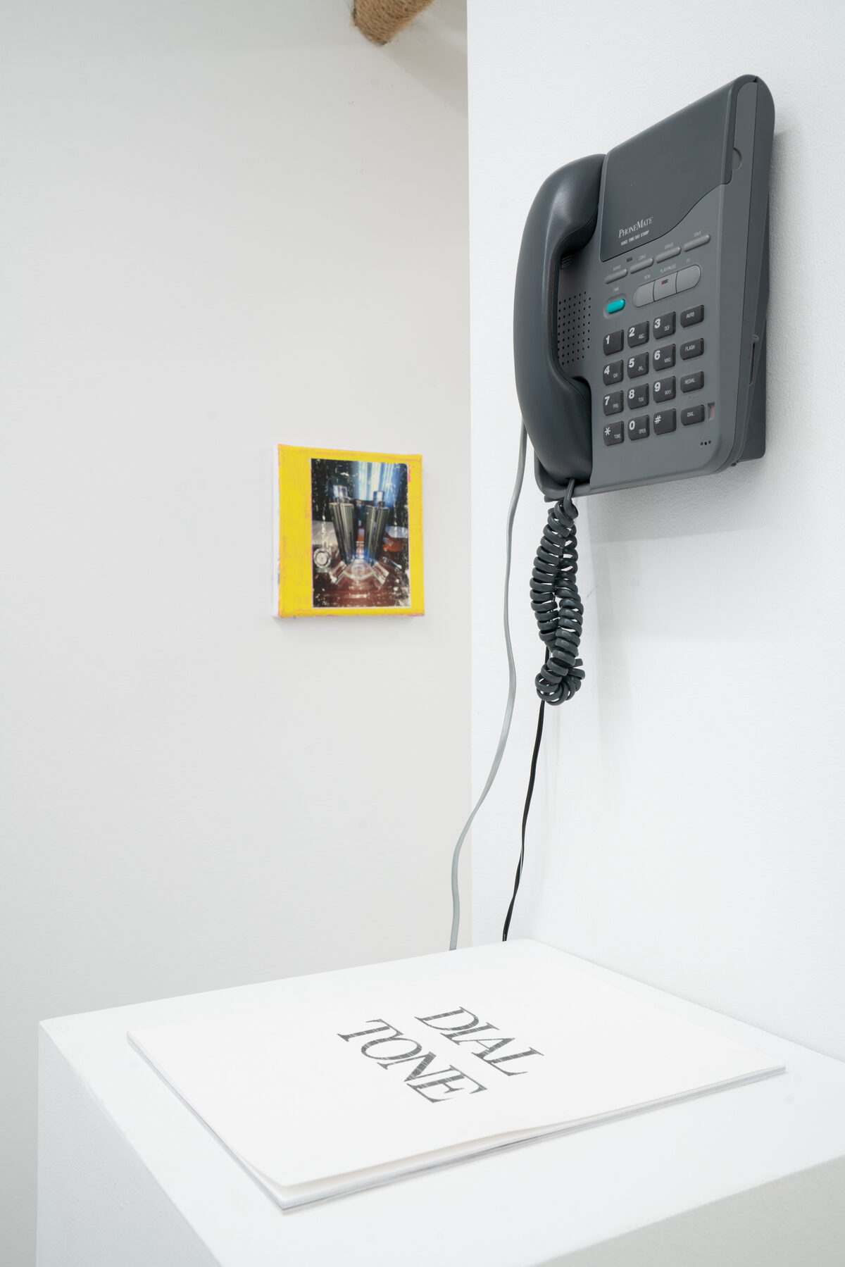 Installation view from [*DUST*](/exhibitions/14aaef09-6ff6-44ff-bd1d-561b32b52da6) at [Gern en Regalia](/institutions/d759d90d-79d0-4ae3-c1a9-08dcc1dbb83f), New York, 2026.
