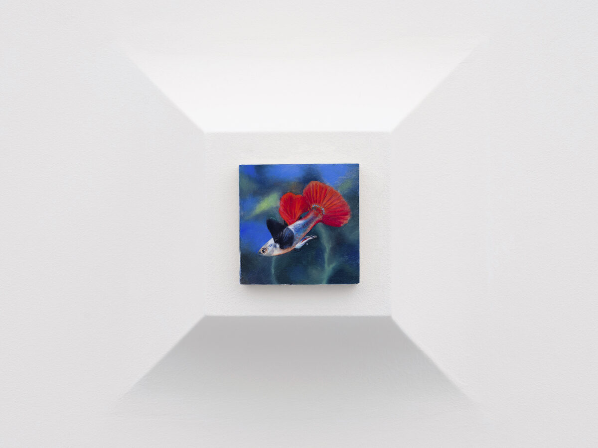 Francisco Sierra, from *[Guppy](/series/guppy-francisco-sierra)*, 2023-2024. Private collection.