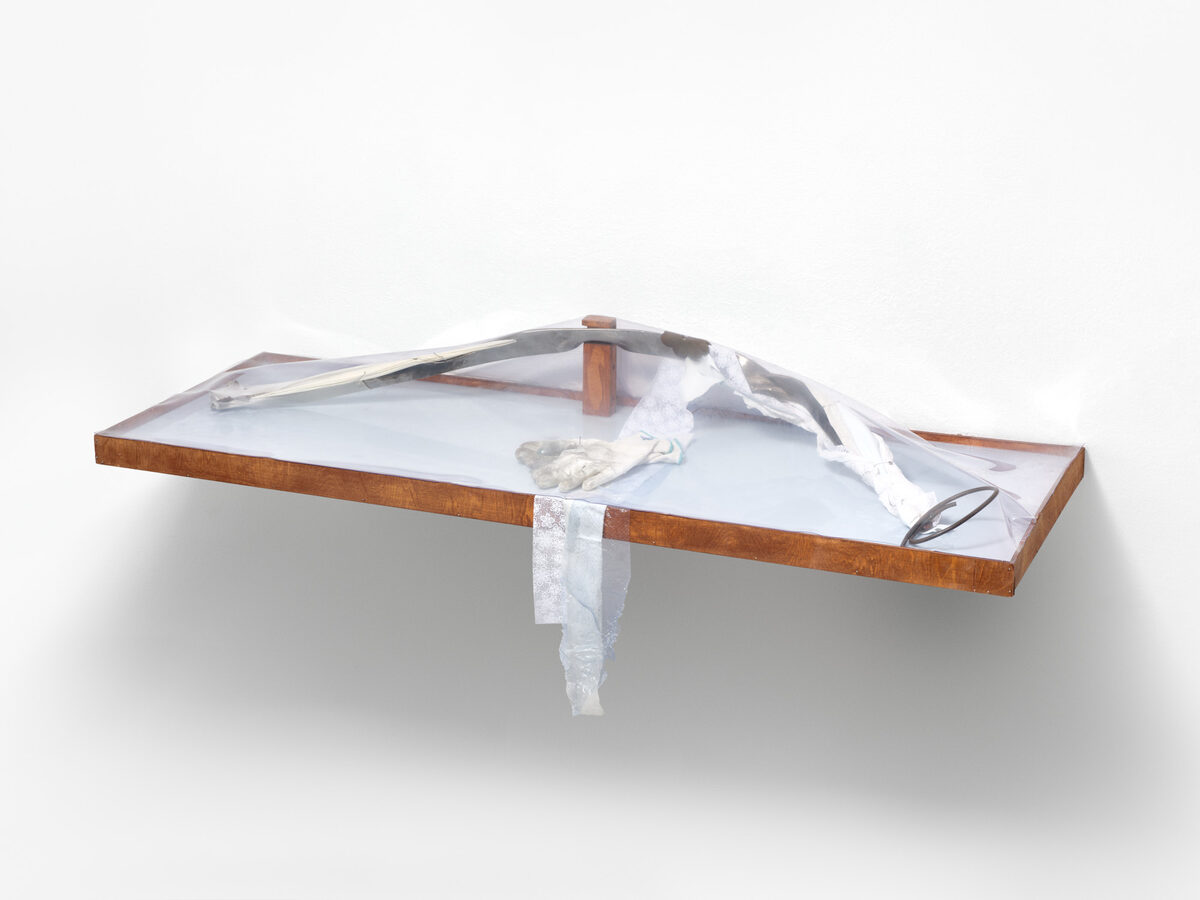 Linda Lach, *[Let's go over the bonus situation](\artworks\f68ef20d-562e-453d-8f61-bcb3e91635db)* (2025)