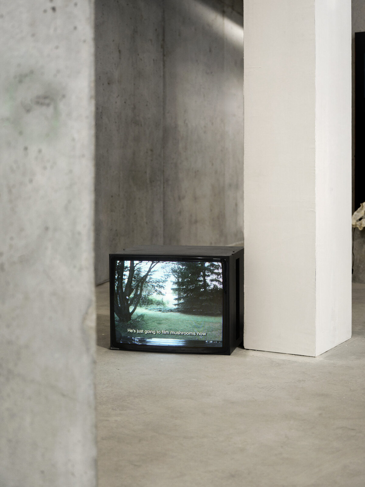 Linda Lach, *[Blow out the candles one more time](\artworks\47a667bd-de5a-45cf-d303-08de99952183)* (2025)