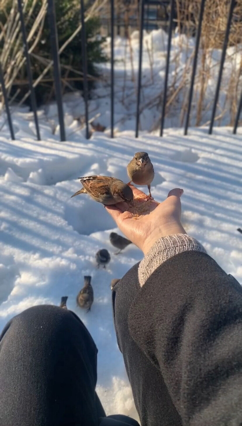Feeding birds in Central Park, February 2026.