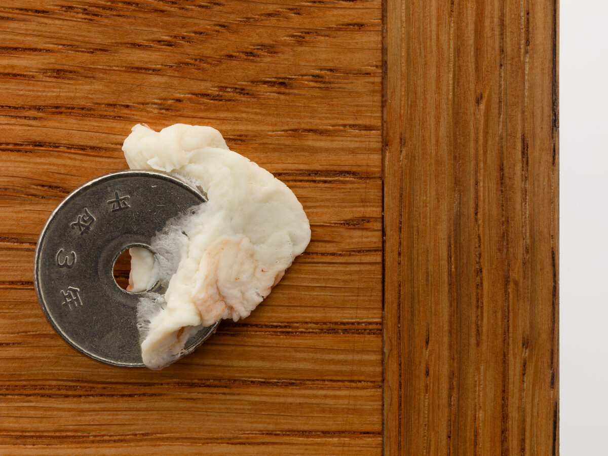 Linda Lach, *[Morning greetings will bear fruit](\artworks\89f55f29-3702-4d26-d2fe-08de99952183)* (2026), detail