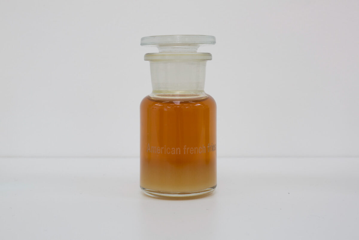 Chantal Peñalosa Fong, ***American French Fries*** (2019). Detail from [*A Few Cubic Meters of Air Between the United States and Mexico*](/artworks/534ebdbb-1582-4e7d-f2c2-08dea2142973) (2019).