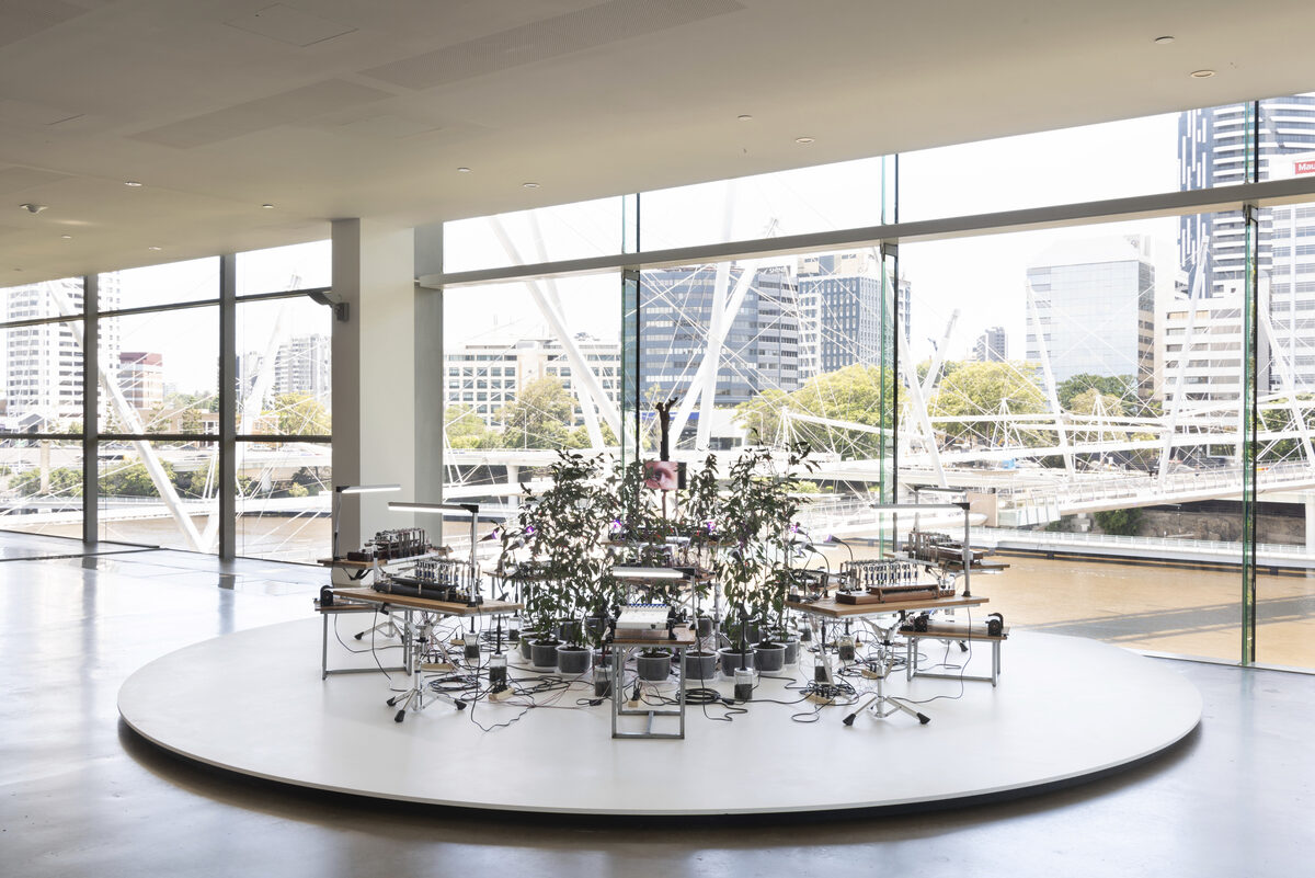 Bagus Pandega, *[A Diasporic Mythology](\artworks\a69ae420-a412-405c-ff80-08de73208f99)* (2021). Installation view: *[The 10th Asia Pacific Triennial of Contemporary Art (APT10)](\exhibitions\f8ef727a-15b3-45eb-9de5-91144259a13d)*, [Queensland Art Gallery & Gallery of Modern Art](\institutions\681a0e1d-f16a-44ed-83bc-08de73248f94), Dec 4, 2021 - Apr 25, 2022