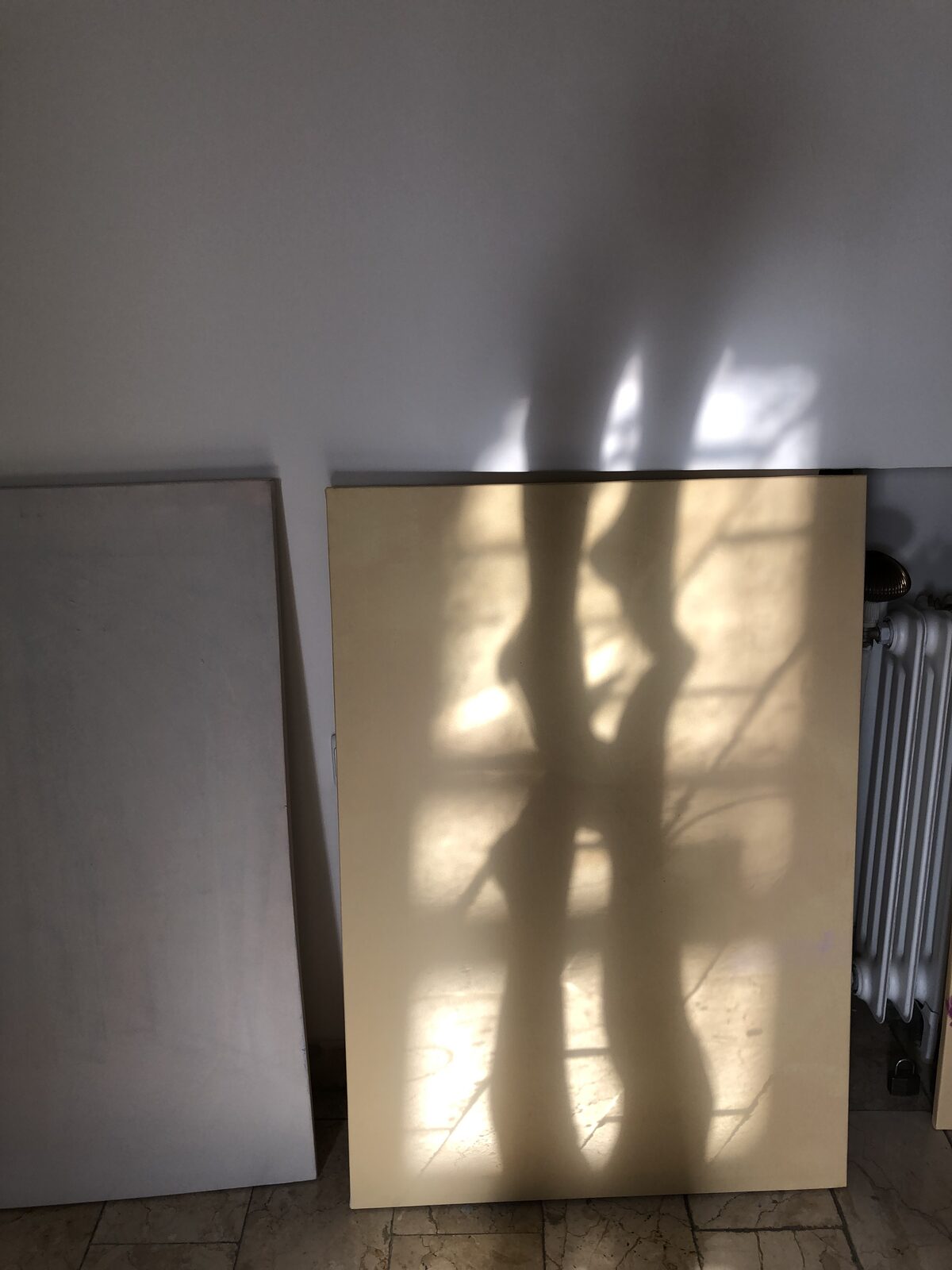 Studio view, Tehran, 2021