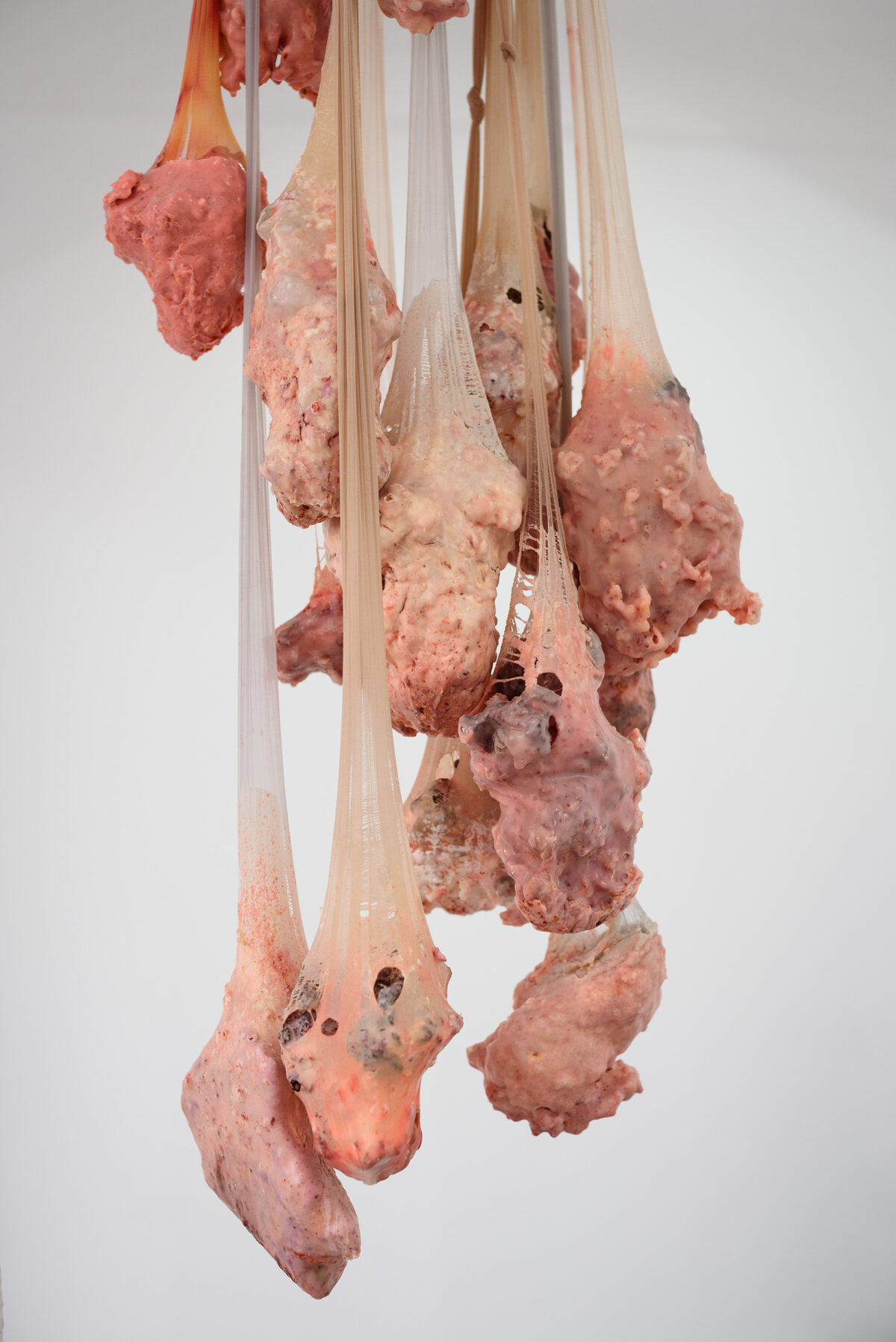 Kristin Reger, *[Entrañas](\artworks\0d1b6385-d457-4111-d571-08deafe3e6f8)* (2019)