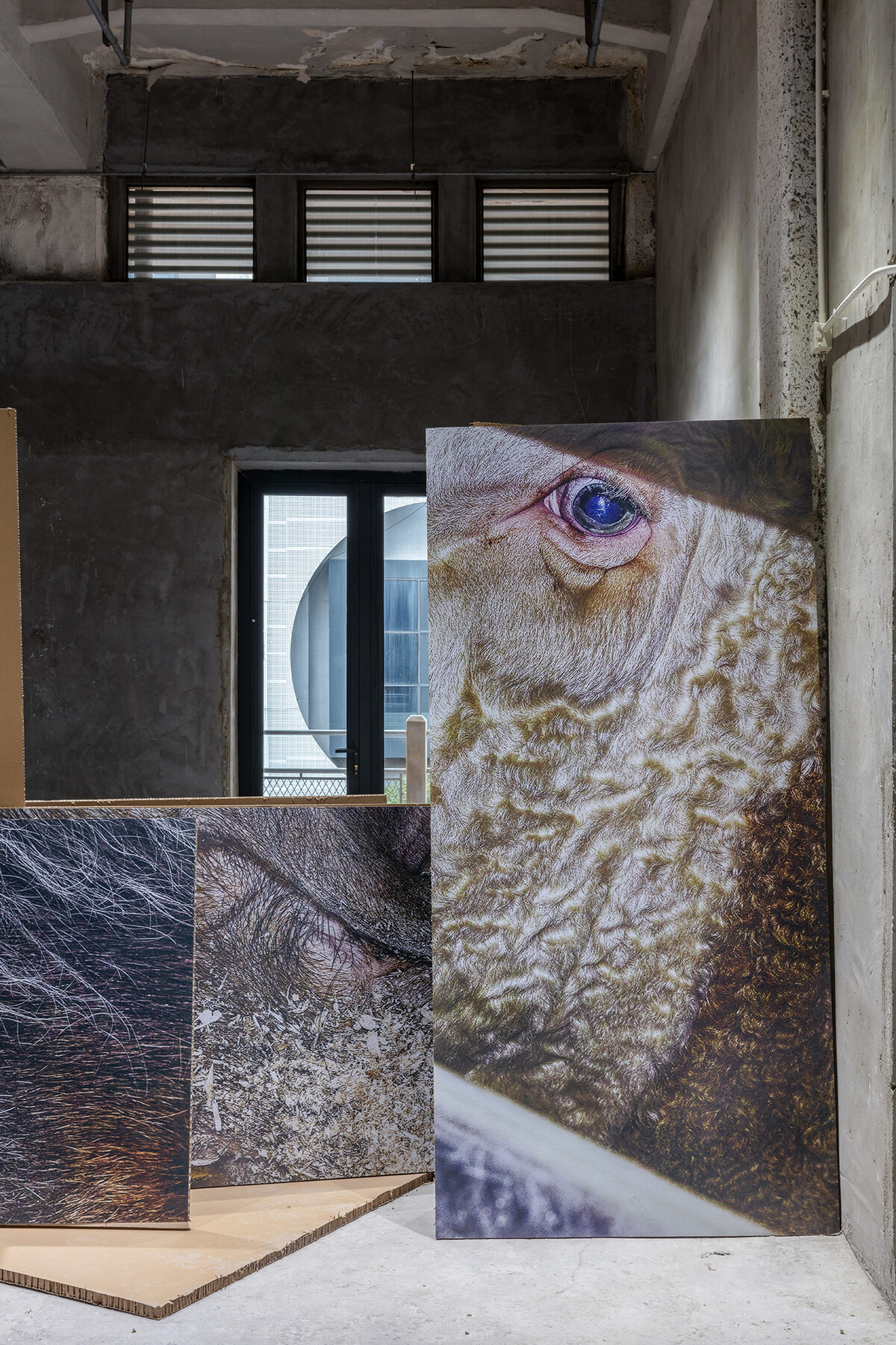 Satoshi Fujiwara, *Animal Material*, detail, 2024. Photographic installation, print on cardboard honeycomb panels. Installation view in Shanghai International Photography Festival / Shanghai International Photography Art Exhibition, 2024.